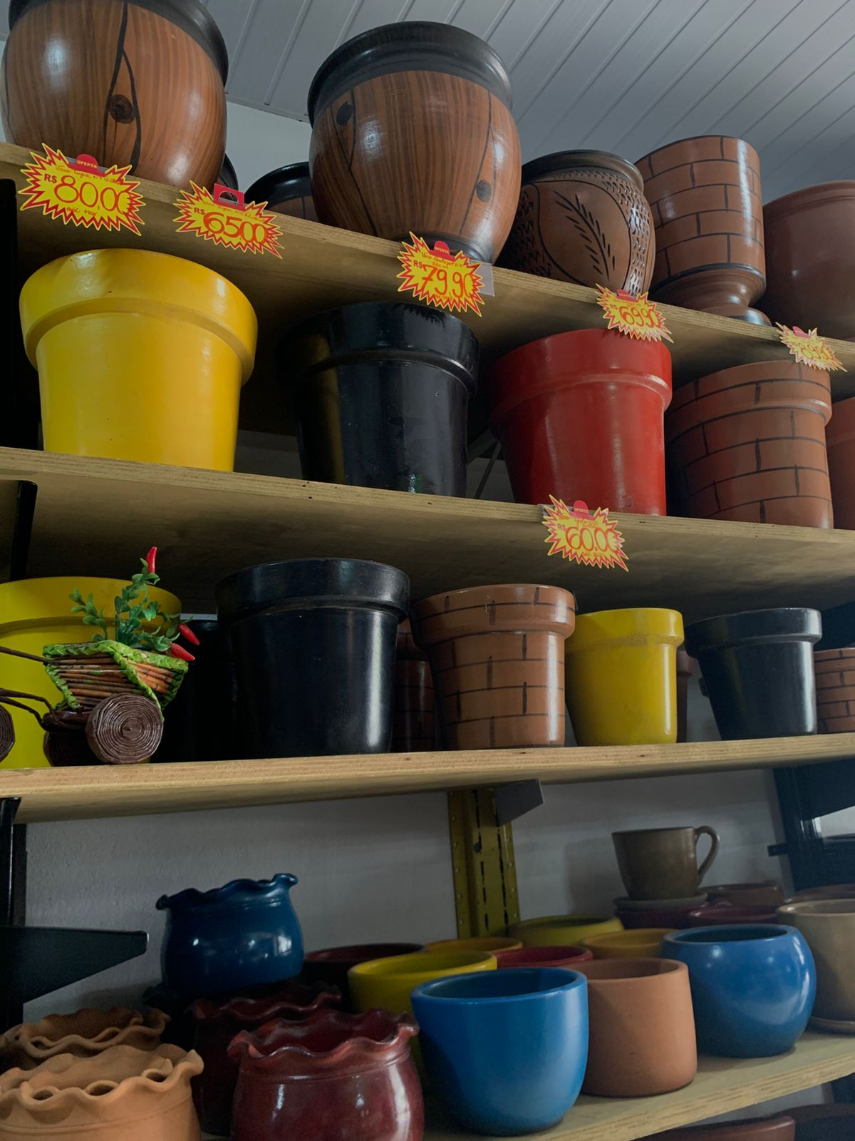 Vasos & Jardinagem